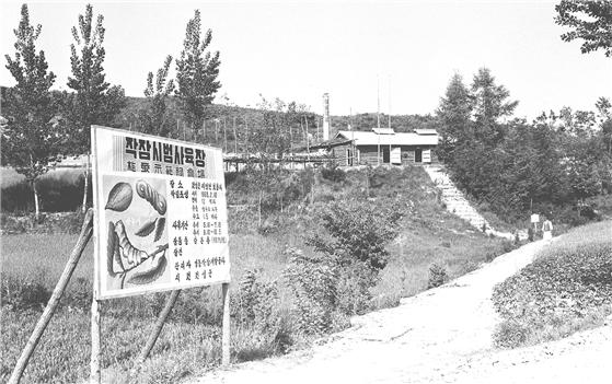 보통리 산누에 시범사육장 1968년
