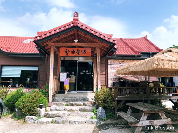 황금들밥