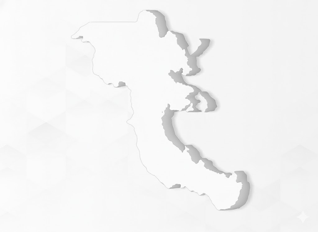 입체 지도