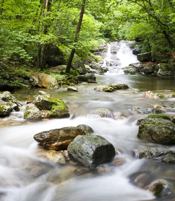 雉岳山 部曲溪谷
