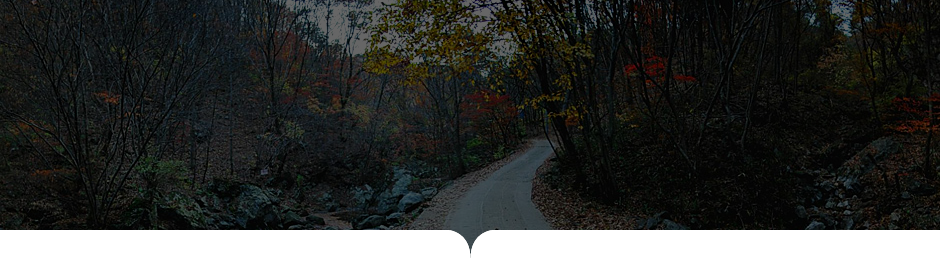 상원사-남대봉 사진