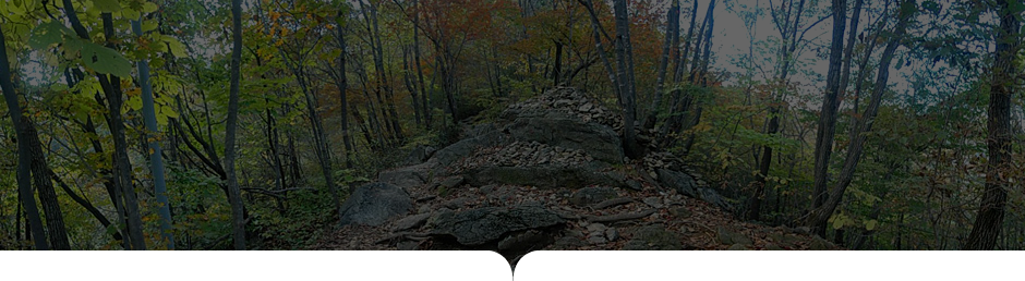 상원사-남대봉 사진