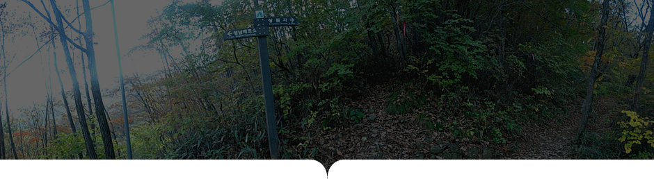 상원사-남대봉 사진