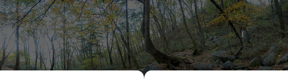 상원사-남대봉 사진