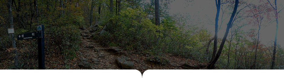 상원사-남대봉 사진