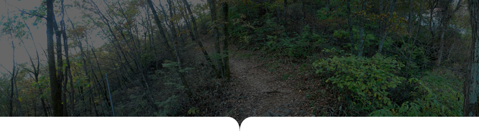 상원사-남대봉 사진