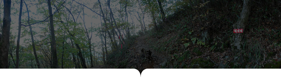 상원사-남대봉 사진