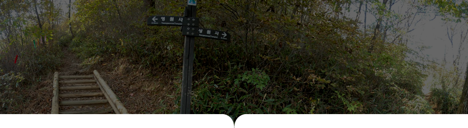 상원사-남대봉 사진