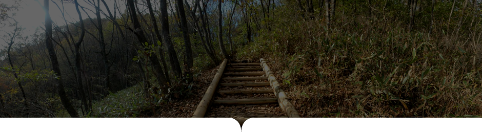 상원사-남대봉 사진