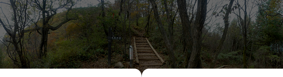 상원사-남대봉 사진