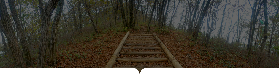 상원사-남대봉 사진