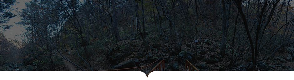 상원사-남대봉 사진