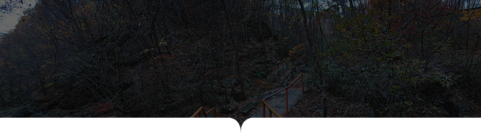 상원사-남대봉 사진