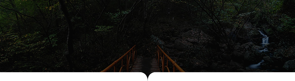 상원사-남대봉 사진