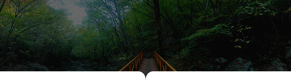 상원사-남대봉 사진