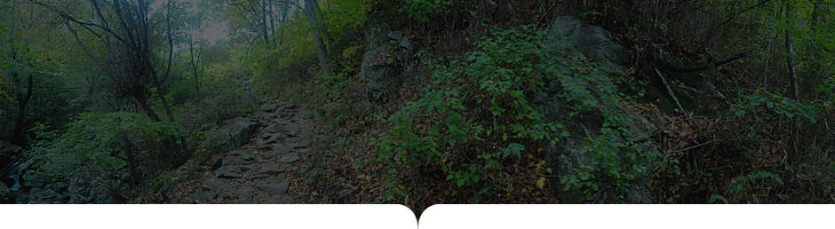 상원사-남대봉 사진