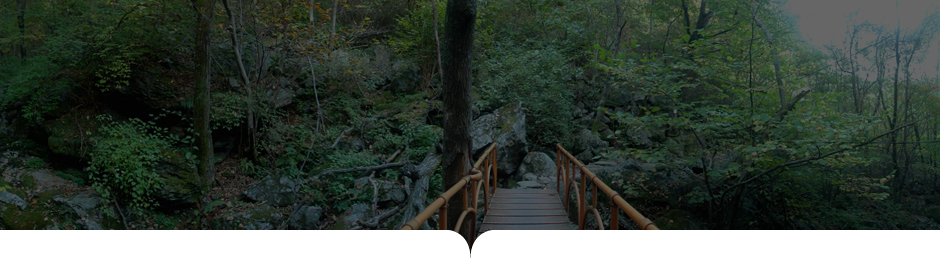 상원사-남대봉 사진