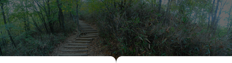 상원사-남대봉 사진