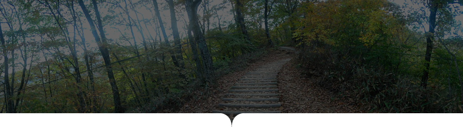 상원사-남대봉 사진