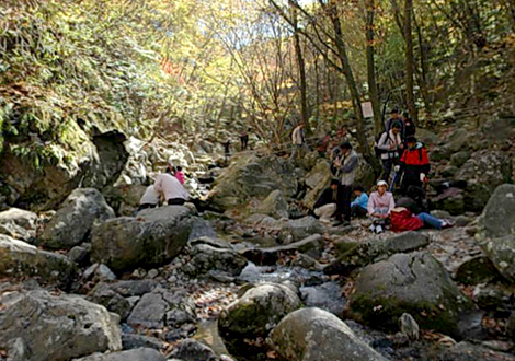 치악산 세렴폭포 사진