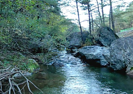 치악산 황지암 사진