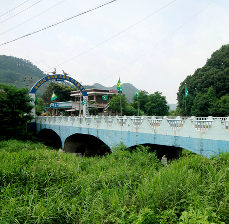 원주천 금대교 사진