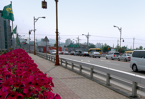 원주천 태학교 사진