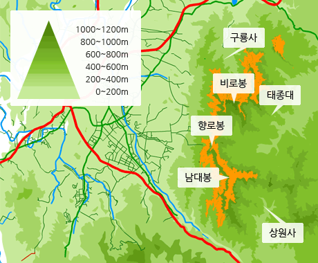 고도별 함박꽃나무 분포도