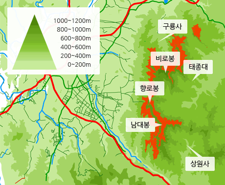 고도별 피나무 분포도