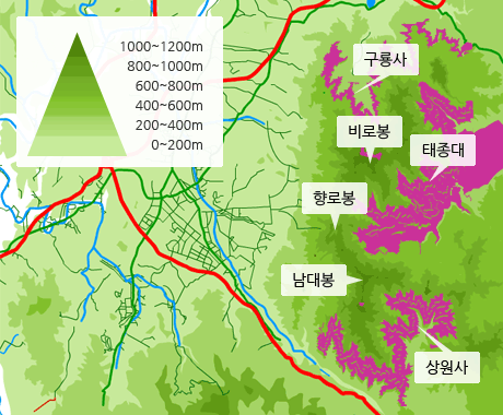 고도별 졸참나무 분포도