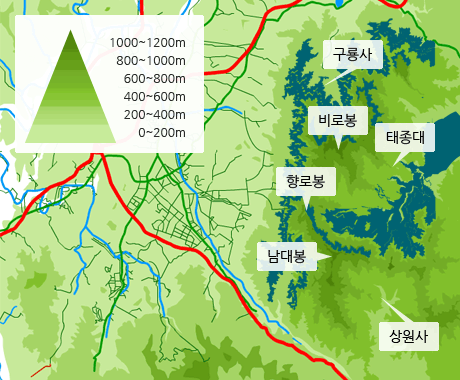 고도별 노부발풀 분포도