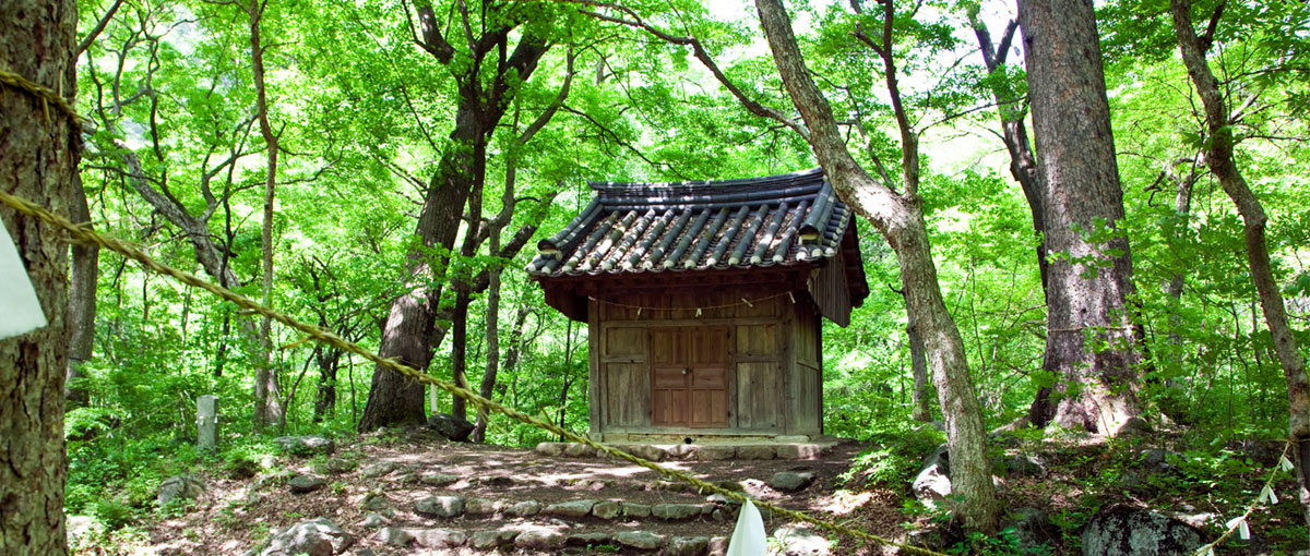 Wonsong Seongnam-ri Seonghwangrim (Tutelary Forest)