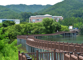 매지 저수지 경관 둘레길 개통 사진 2