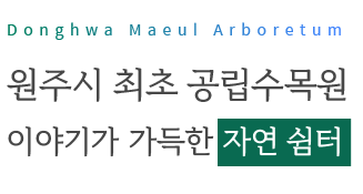 Donghwa Maeul Arboretum 원주시 최초 공립수목원 도시의 자연 쉼터