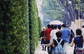 자연친화적 이미지 울타리 설치 사례