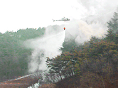 산불예방 작업